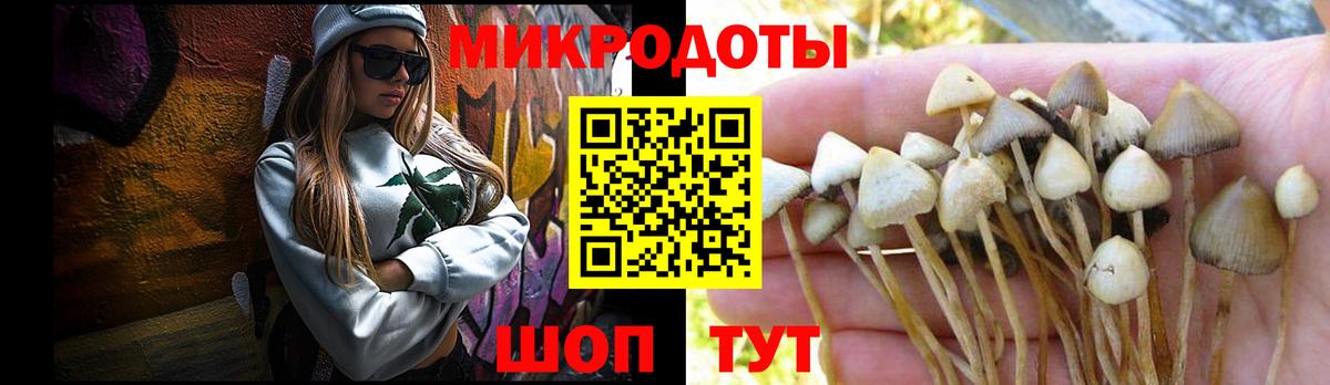 Галлюциногенные грибы Cubensis Пугачёв