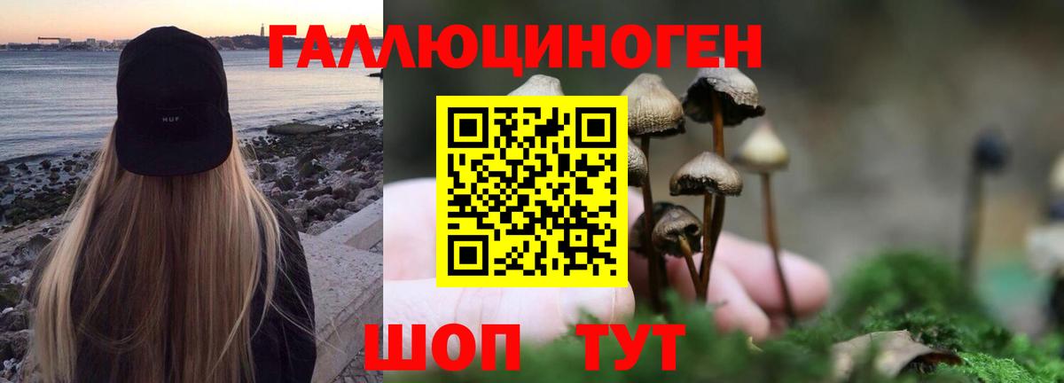 Пугачёв  магазин продажи   Вход с VPN  Псилоцибиновые грибы MAGIC MUSHROOMS  Псилоцибиновые грибы мицелий 